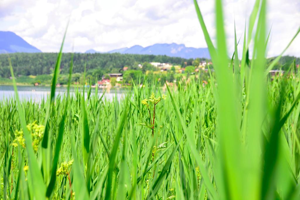 Apart Of Me Ferienhaus Faaker See Villach Bagian luar foto